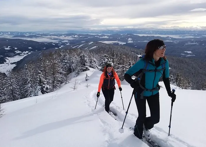 Fuggerhuette 度假居 Flattnitz