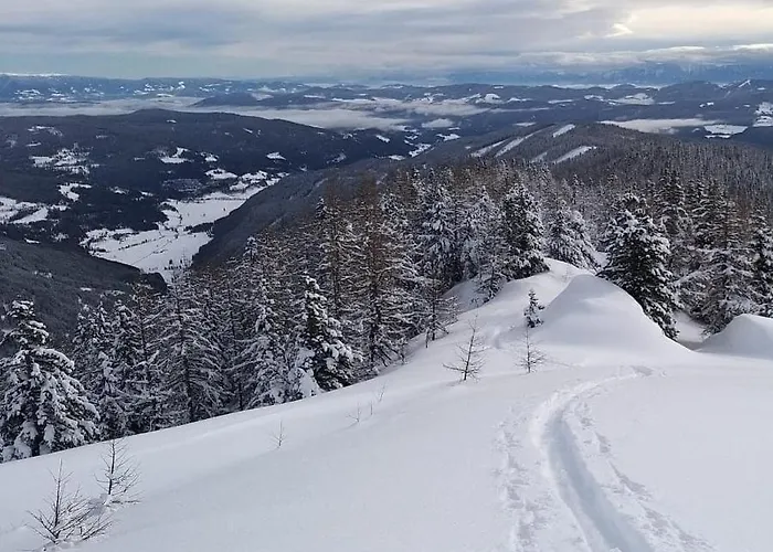 Fuggerhuette 度假居 Flattnitz