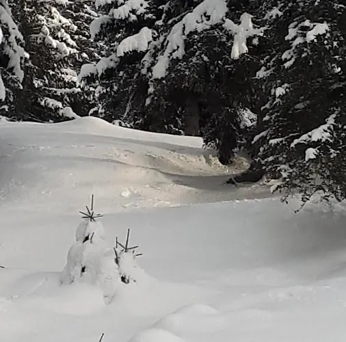 Fuggerhuette Flattnitz