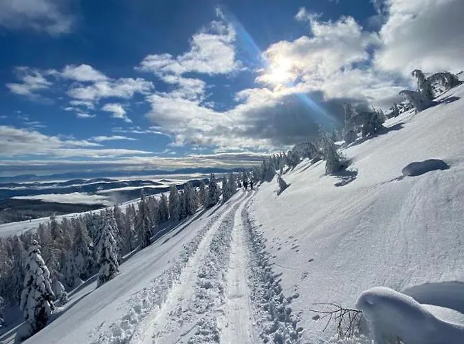 Fuggerhuette 度假居 Flattnitz